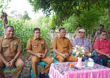 Sebanyak 7.000 Populasi Pohon Jagung Milik Poktan Garolaha Kelurahan Dowora Resmi Dipanen