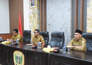 Wawali Mengikuti Sosialisasi Pengawasan Penyelenggaraan Perijinan Daerah