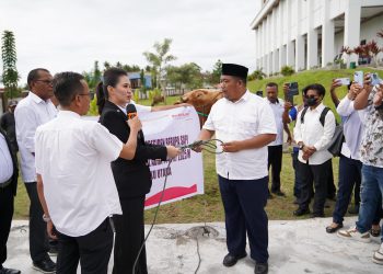 Sherly Tjoanda Resmi Salurkan 11 Ekor Sapi Hewan Qurban Bantuan Presiden