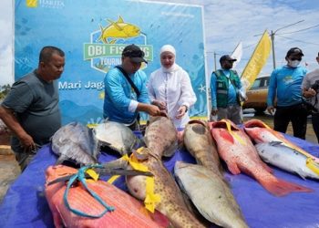 Harita Nickel Gelar Obi Fishing Tournament 2025, Promosikan Keanekaragaman Hayati Perairan Obi