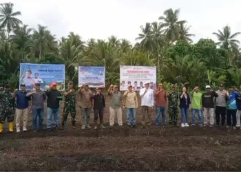 Bersama Dirjen Perkebunan Kementan RI, Pemkot Tidore Kembali Melakukan Penanaman Padi Gogo