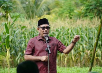 Hadiri Panen Perdana Jagung, Wawali Tidore Apresiasi TP-PKK dan Gerakannya dalam Memenuhi Kebutuhan Pangan