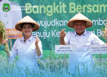 Panen Raya di Gane Timur, Maluku Utara Jadi Tonggak Swasembada Pangan