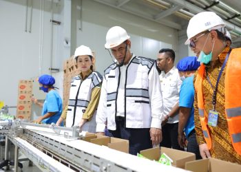 Mentan Andi Amran Puji Gubernur Sherly, Sukses Dorong Hilirisasi Kelapa Maluku Utara